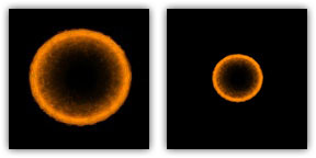 Figure 2a & 2b